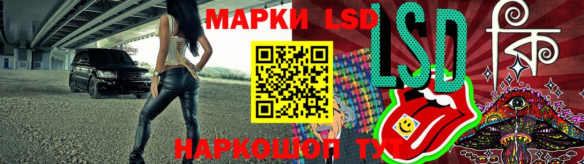 Губкин  Марки N-bome 1500мкг  Марки N-bome  Вход с VPN 