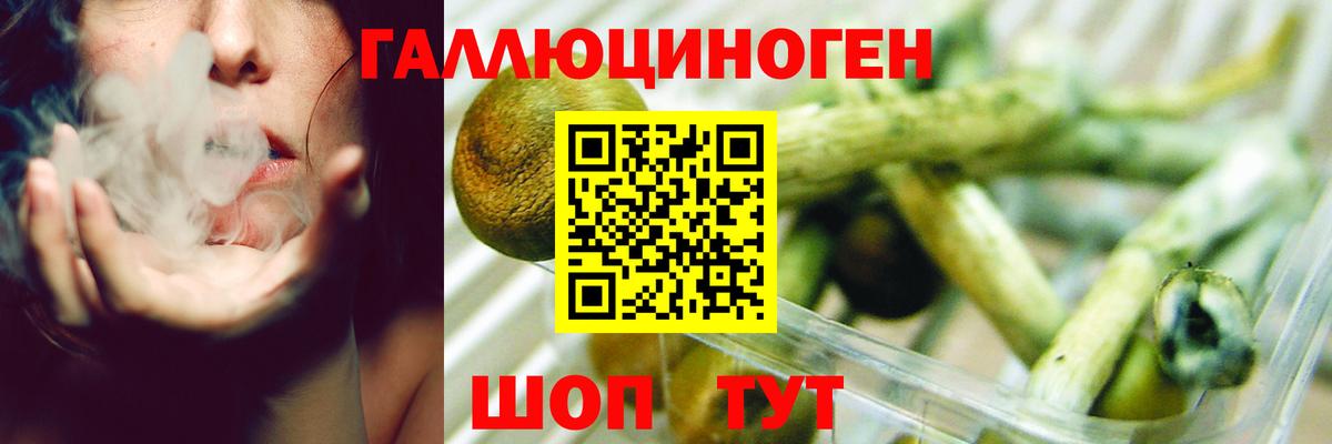Псилоцибиновые грибы MAGIC MUSHROOMS  Вход с VPN  Губкин 