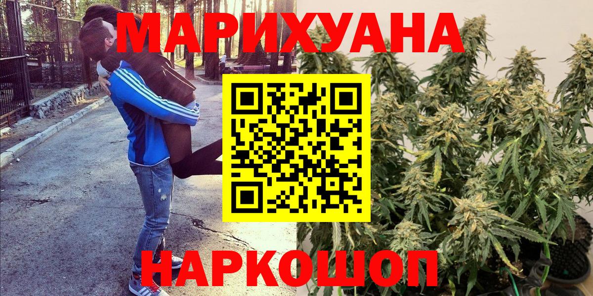 Конопля VHQ  Бошки Шишки семена  Губкин  Вход с VPN  Бошки Шишки сатива  Бошки марихуана Amnesia 